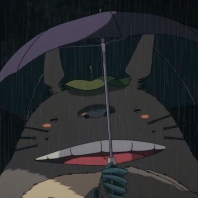 Totoro felice