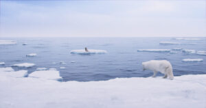 Scena del film che mostra lo scioglimento dei ghiacciai